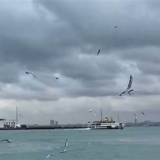 Maltepe hizmet bölgesi